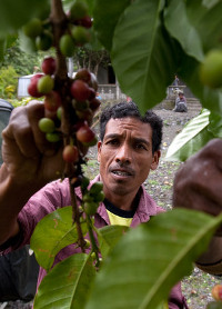 Farmor in East Timor